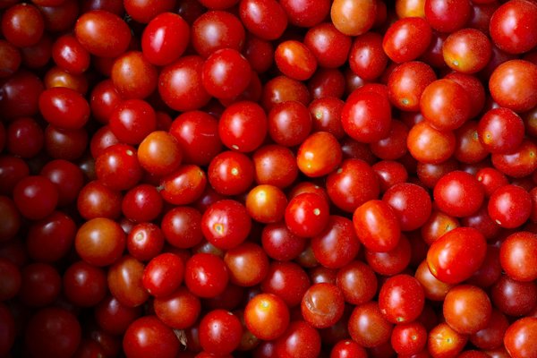 Conseils ingénieux pour réduire vos dépenses en plomberie de cuisine